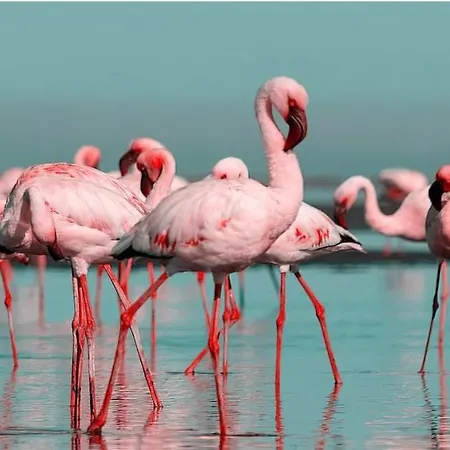 Recent Pres D'arenes Terrasse Wifi Parking Prive Apartamento *